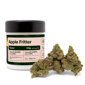 Apple Fritter