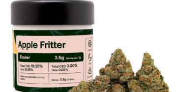 Apple Fritter