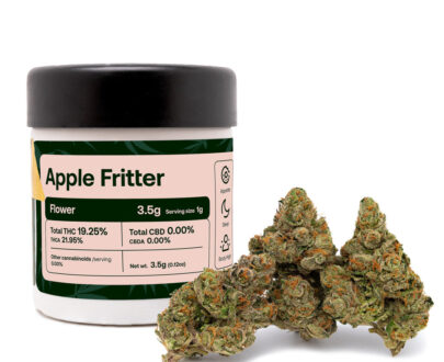 Apple Fritter