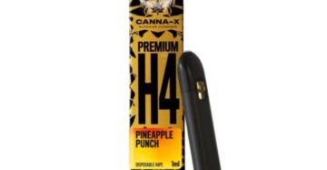 Canna-X Disposable H4 Pineapple Punch