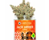 Jack Herer | 24% THC