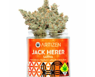 Jack Herer | 24% THC