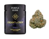 Purple Kush | 27% THC